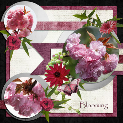 Blooming