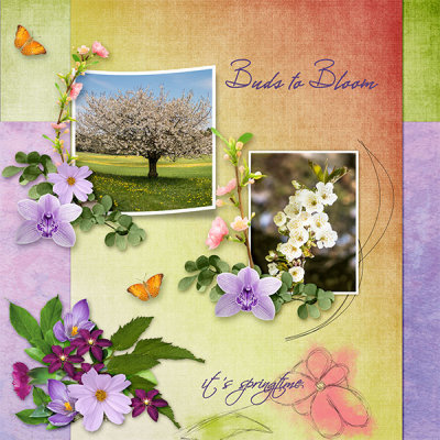 Buds to Bloom
