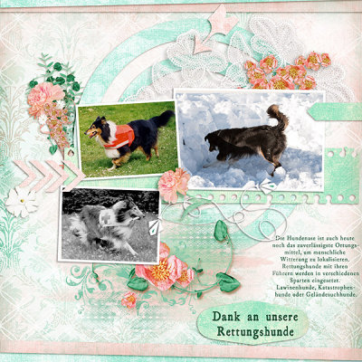 Thanks to the Rescue Dogs