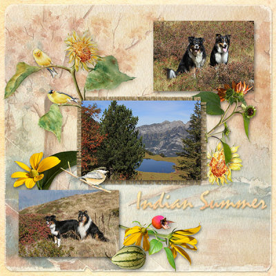Indian Summer