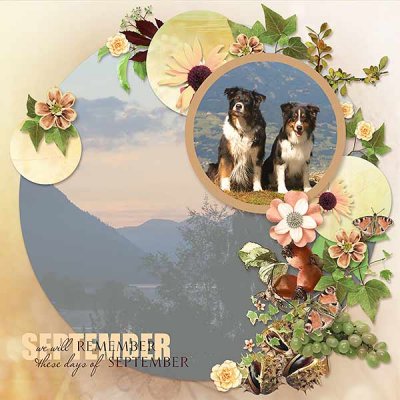 A Day in September