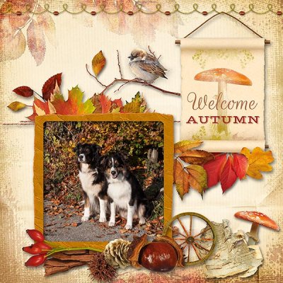 My dogs in autumn