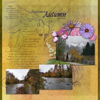Autumn or First Snow