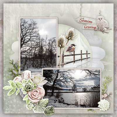 Frosty Winter