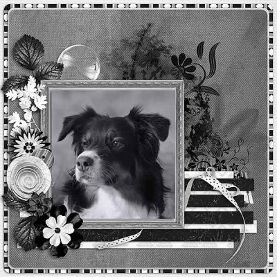 Ebbie
