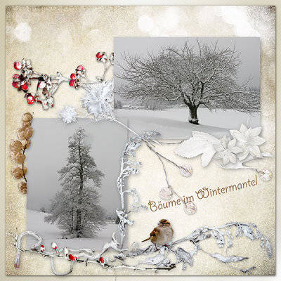 Trees in winter