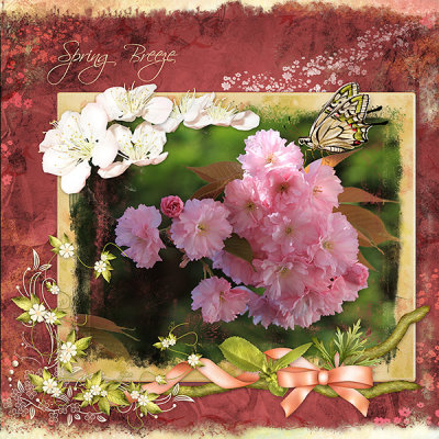 Spring Breeze