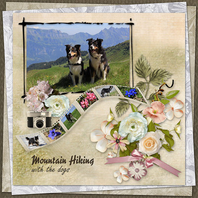 Mountain Hiking