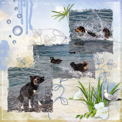 Water and Fun