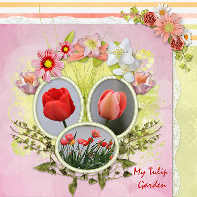 My Tulip Garden