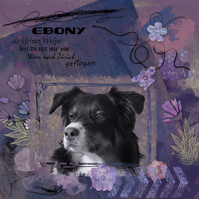 Ebony
