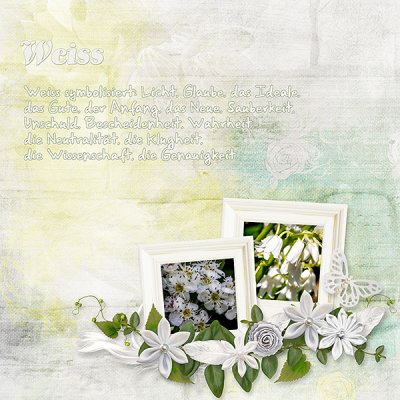 The color white