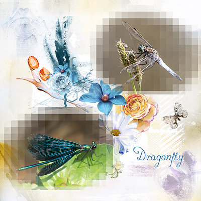Dragonfly