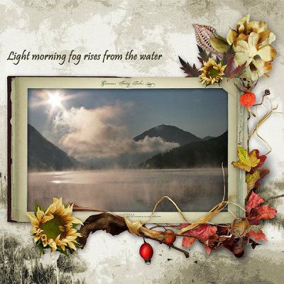 Morning fog
