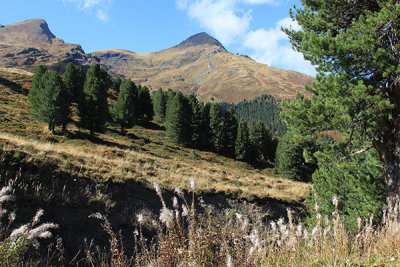 IMG_7669_small.jpg