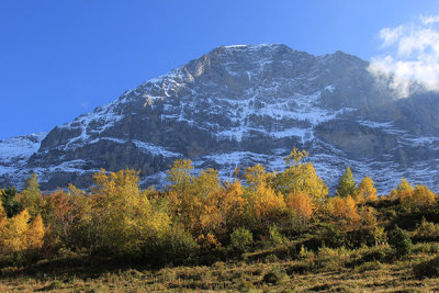 IMG_7685_small.jpg