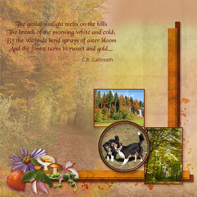 Russet and Gold