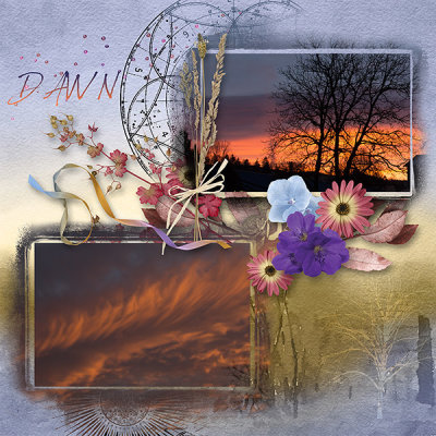 Dawn