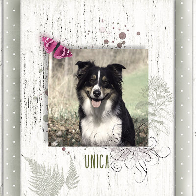 Unique Unica