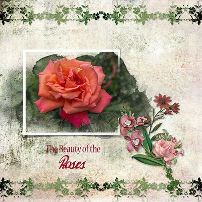 Rose