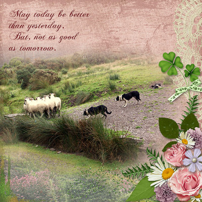 2016_03_quote_ireland.jpg