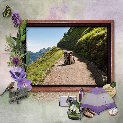 Hiking with the dogs