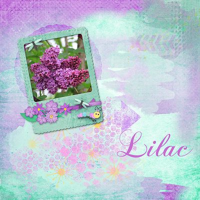 Lilac