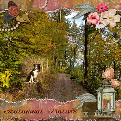 Autumn