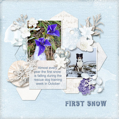 Snow