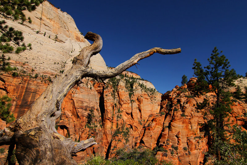 Zion III