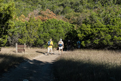 LM2012-8839.jpg