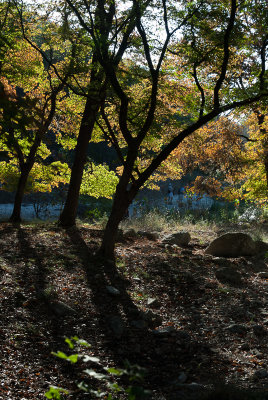 LM2012-8861.jpg