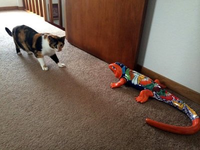 Tense Hallway Stand-Off