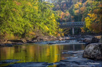 Maryland Fall--4 web.jpg