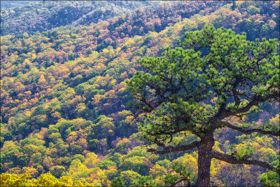 Fall in the Mountains