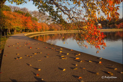 Mall in fall-8422 web.jpg