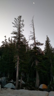 IMG_20150808_055858778.jpg