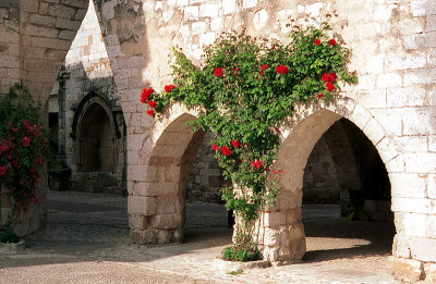 Joy In Beauty Travelogue: One Response to a Terminal Cancer Diagnosis