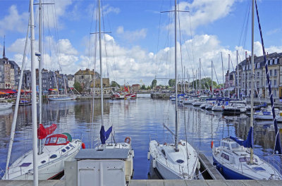 Harbor Update 1-00700.jpg