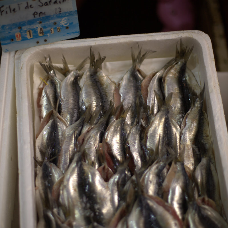 sardines, fish market, Saint Tropez