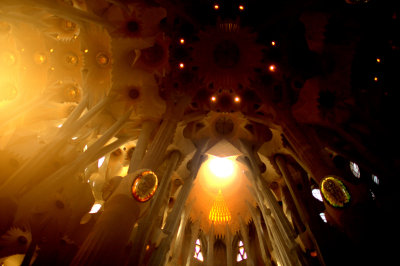  Gaudi's creation, Sagrada Familia, Barcelona