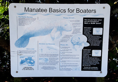 Manatee Basics