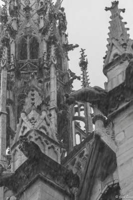 our first view of Notre Dame