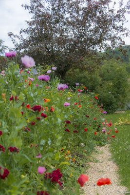 Monet's garden in Giverny
