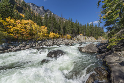 Washington Autumn