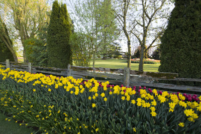 view at the fence