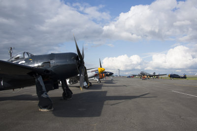 2014_PAE_GA-72.jpg
