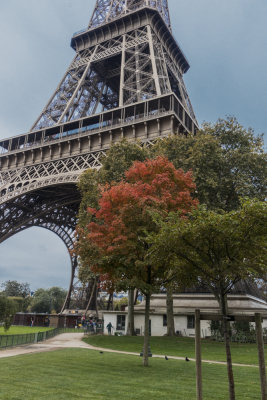 The Eiffel Tower and autumn
