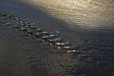 ripples heading back to sea...