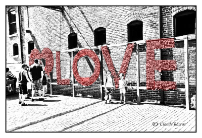 Padlooks of Love